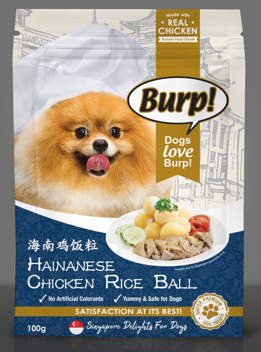 chicken and rice balls for dogs