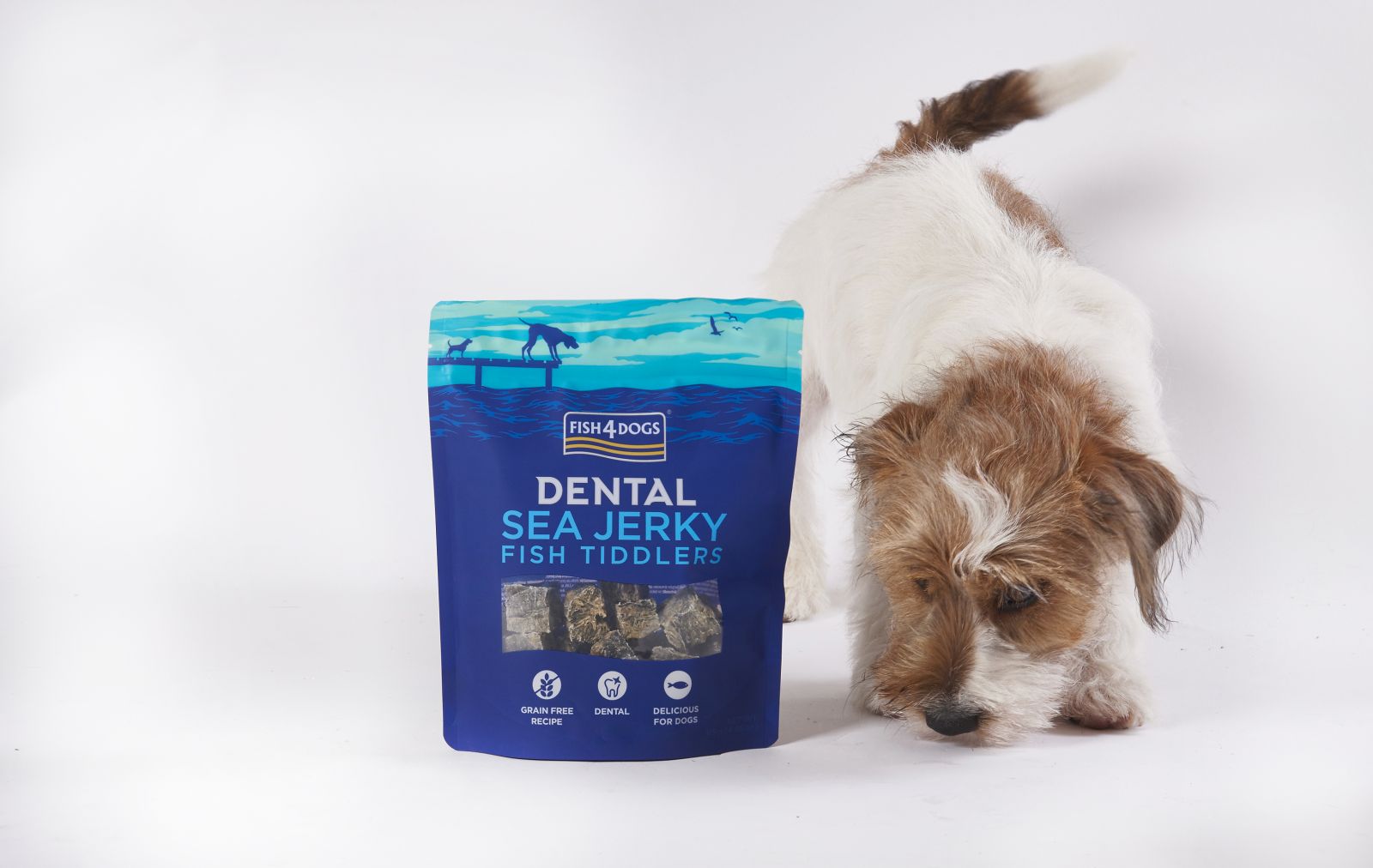 fish for dogs stockists