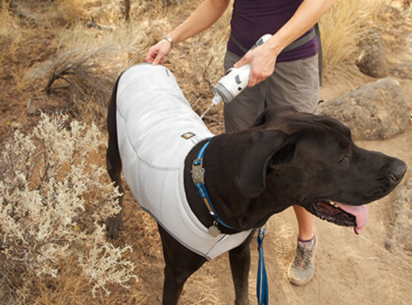 dog sun protection suit