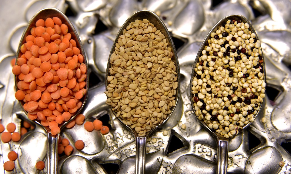 are lentils ok to feed dogs