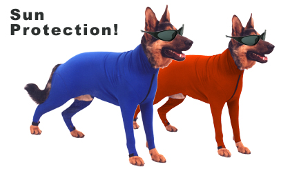 dog sun protection suit